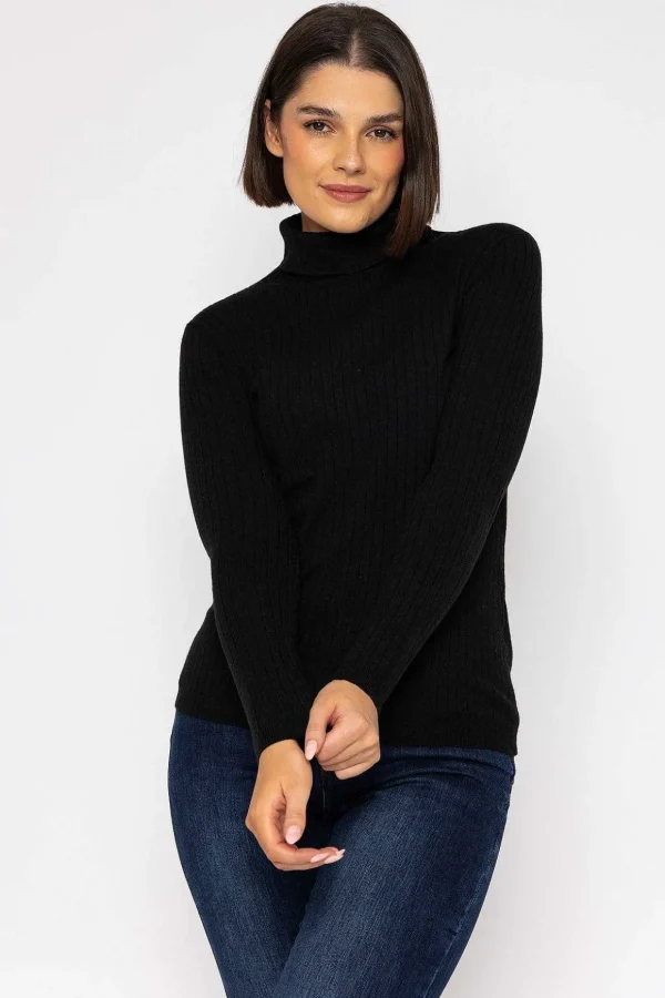 Rib Roll Neck Knit In Black