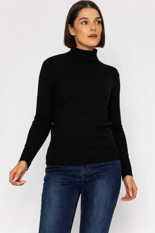 Rib Roll Neck Knit In Black