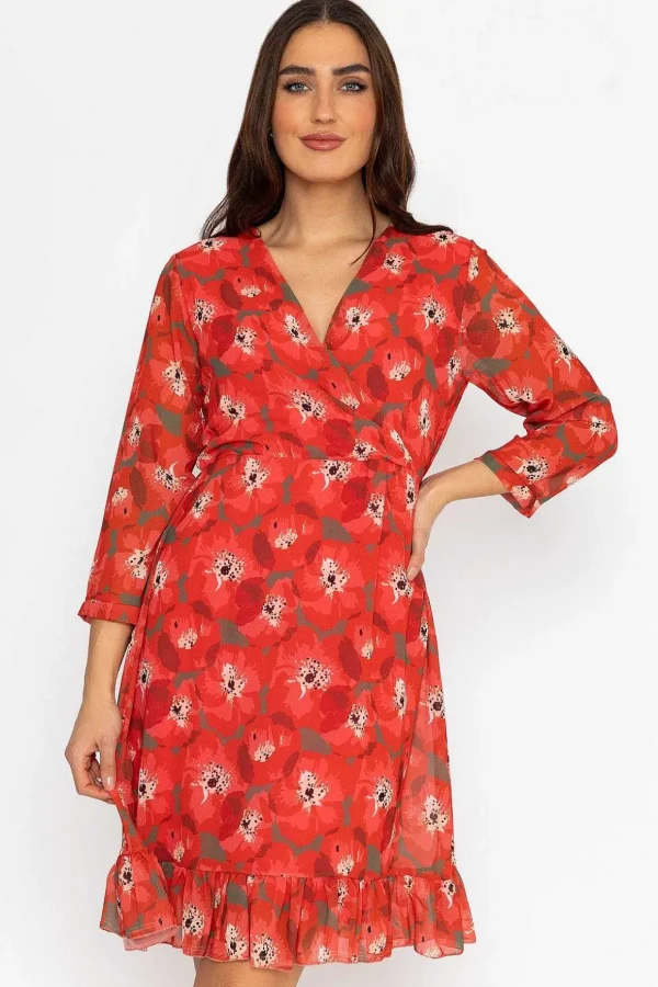 Roisin Knee Length Dress In Red Print