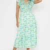 Ruth Midi Dress In Green Print
