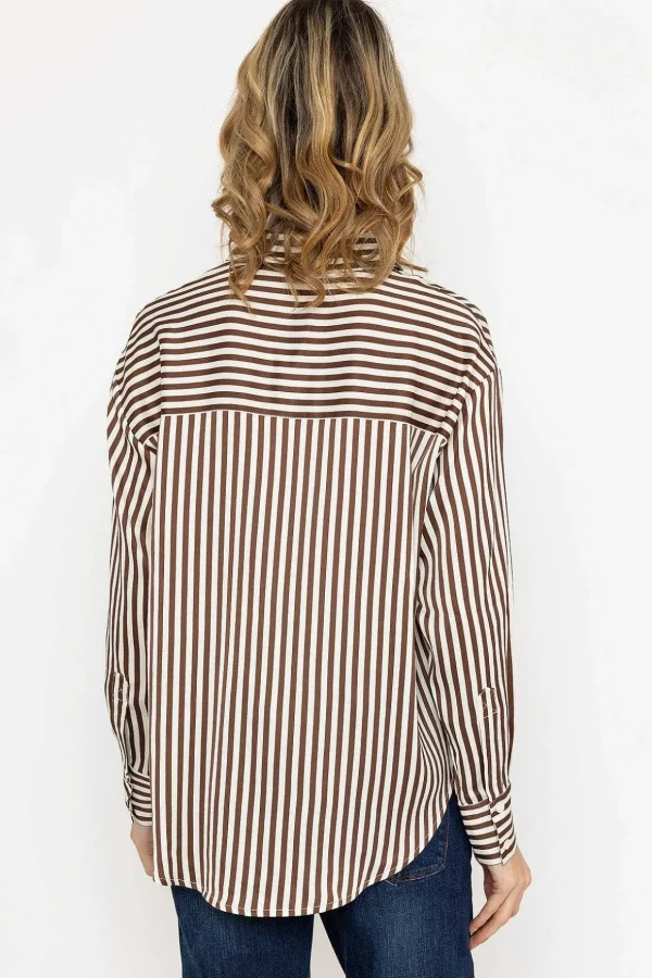 Satin Stripe Shirt In Brown