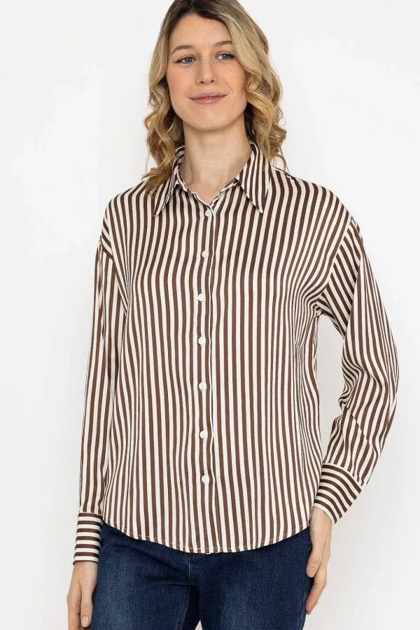 Satin Stripe Shirt In Brown
