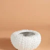 Sea Urchin Planter Large