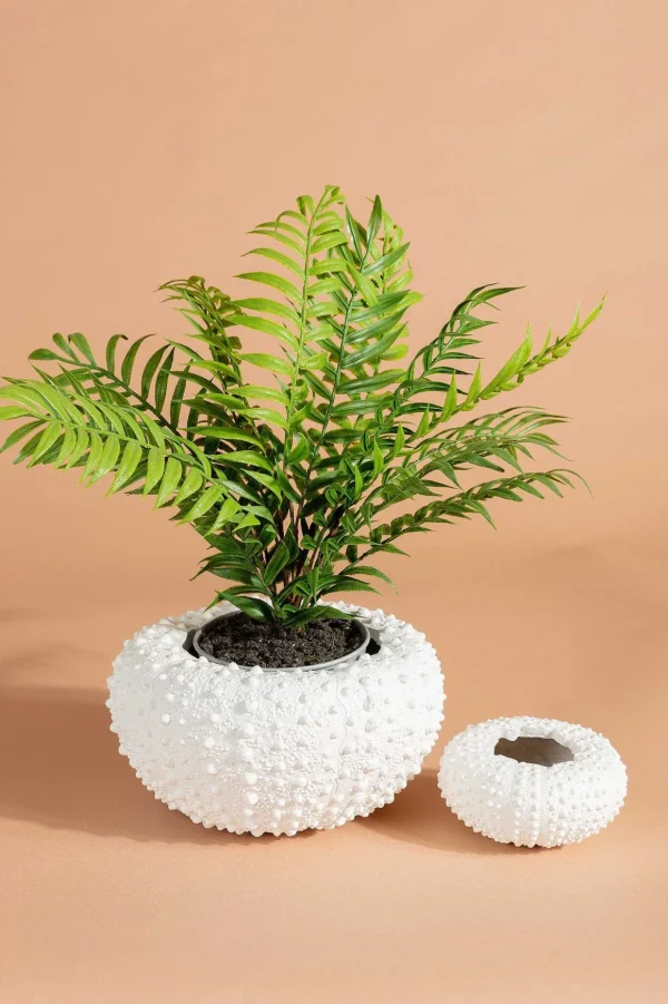 Sea Urchin Planter Large