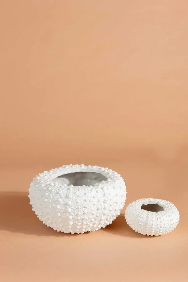 Sea Urchin Planter Large