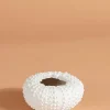 Sea Urchin Planter Small