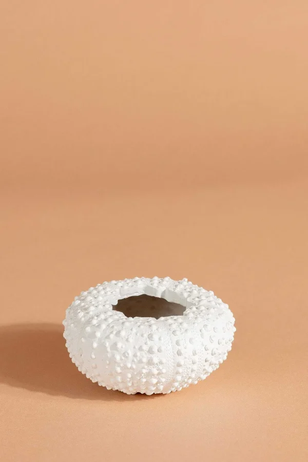 Sea Urchin Planter Small