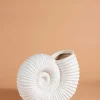 Seashell Vase