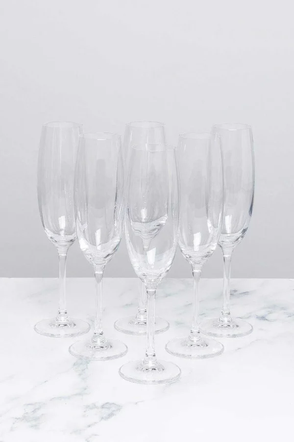 Set Of 6 Connoisseur Champagne Glasses