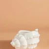Shell Vessel