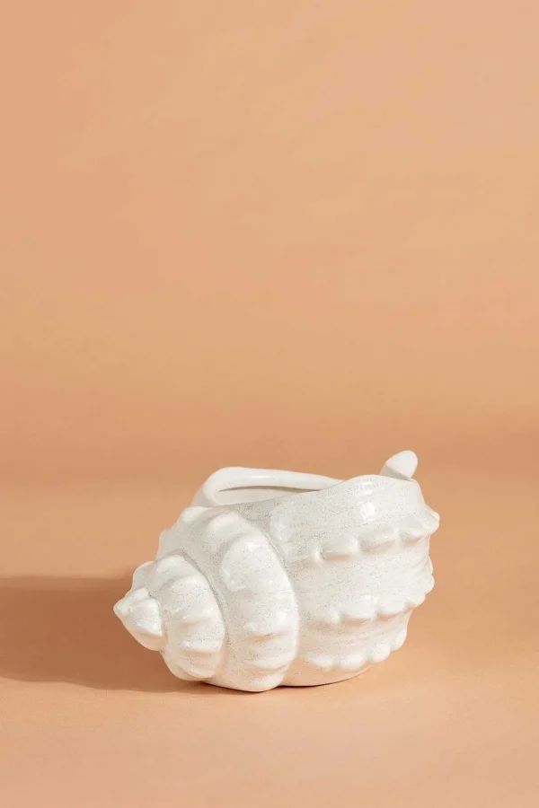 Shell Vessel