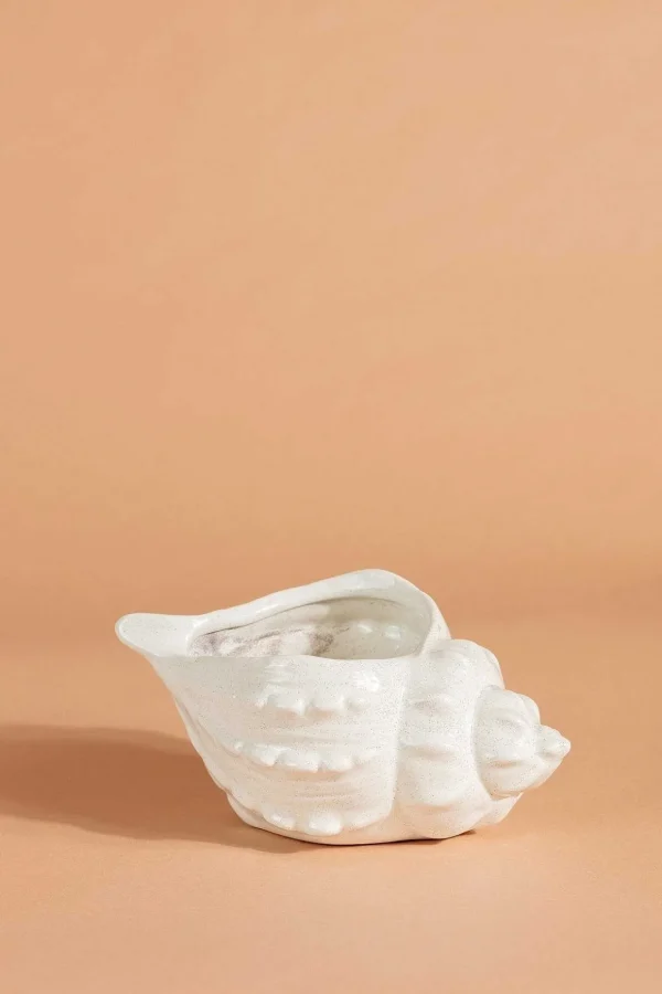 Shell Vessel