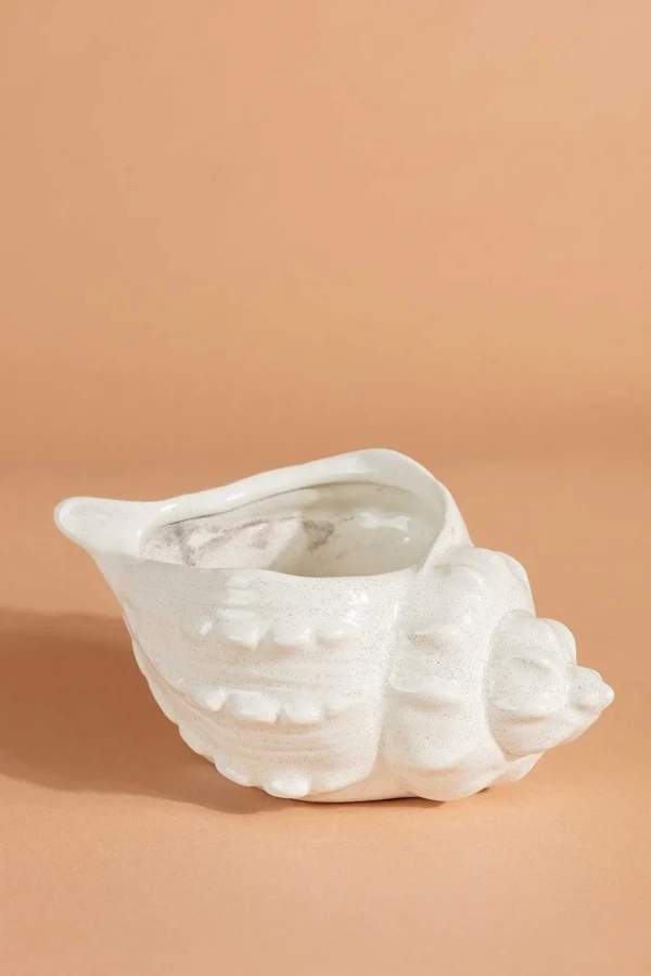 Shell Vessel