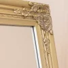 Silver Champagne Floor Standing Mirror