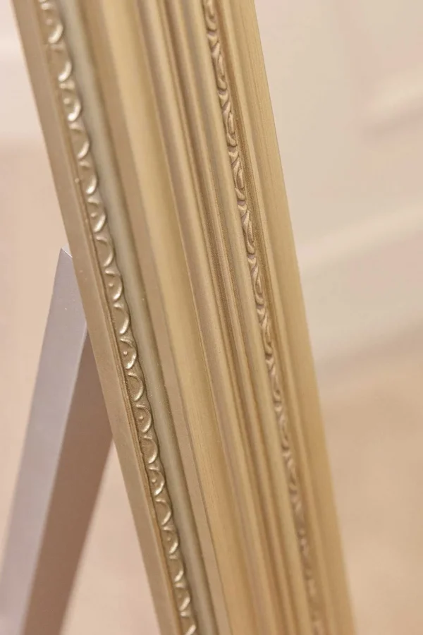 Silver Champagne Floor Standing Mirror