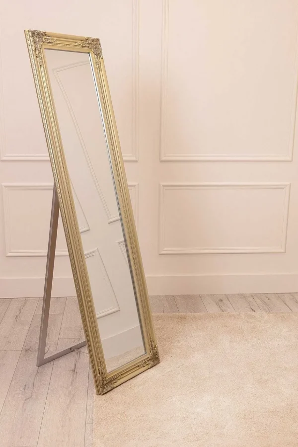 Silver Champagne Floor Standing Mirror