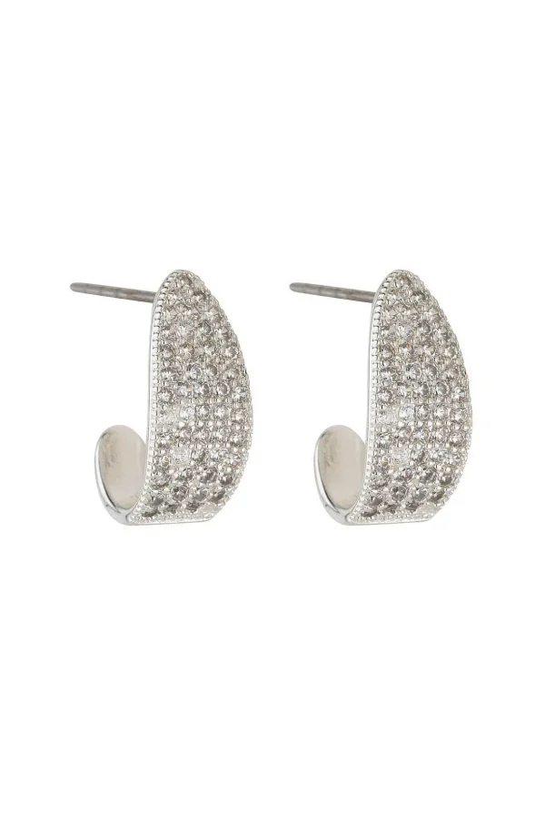 Silver Mini Hoops