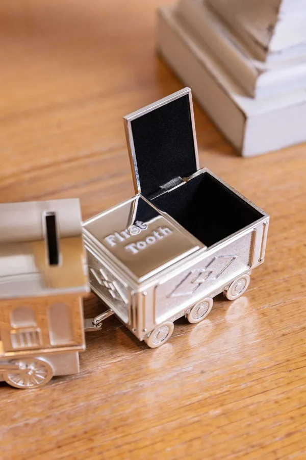 Silver Train Money Box Tooth & Curl