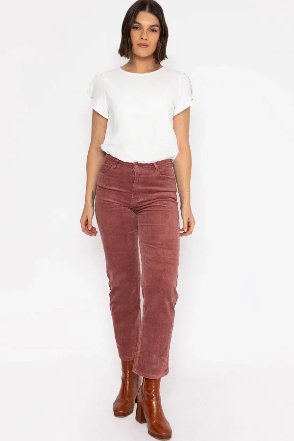 Solange Velvet Pants In Pink