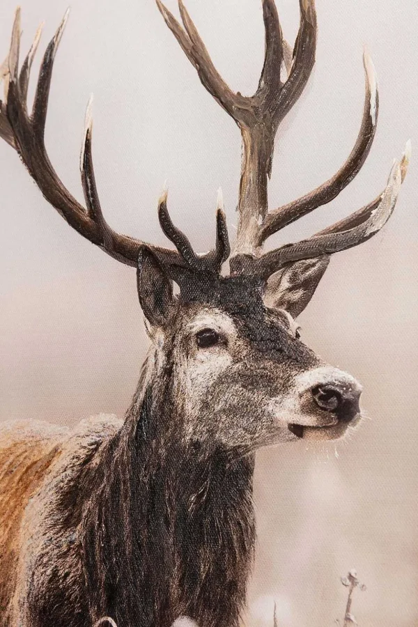 Stag Canvas Wall Art