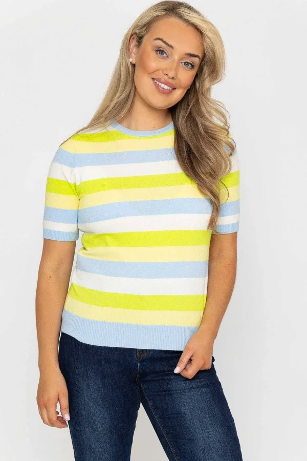 Stripe Short Sleeve Knit In Blue