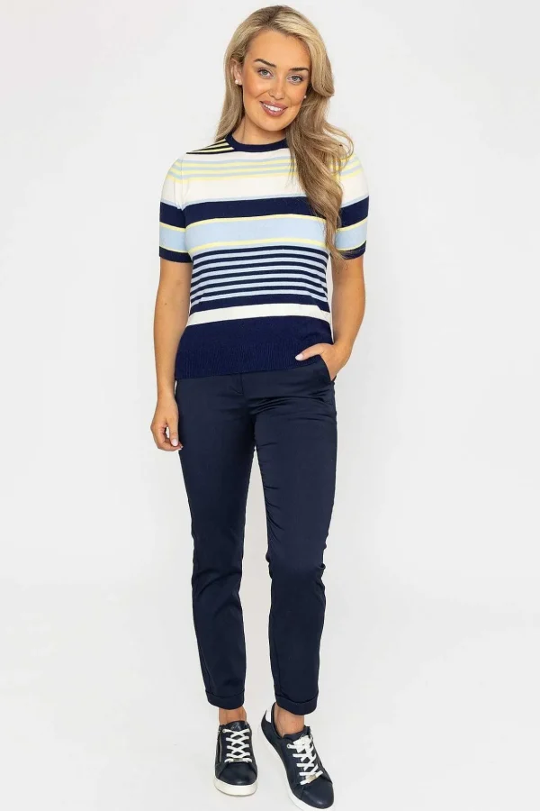 Stripe Short Sleeve Knit In Navy