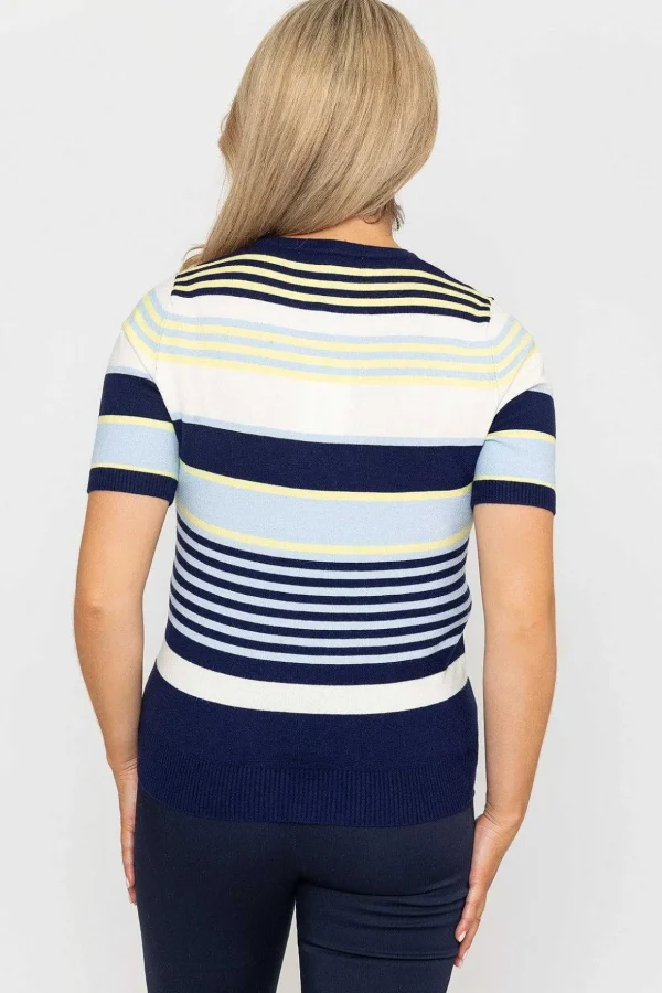 Stripe Short Sleeve Knit In Navy