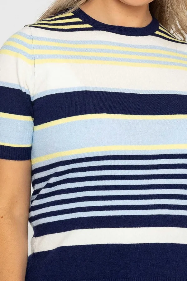 Stripe Short Sleeve Knit In Navy