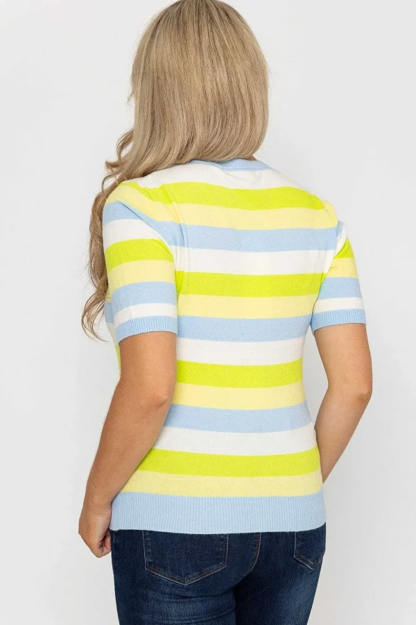 Stripe Short Sleeve Knit In Blue