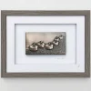 To Light A Path Wall Art