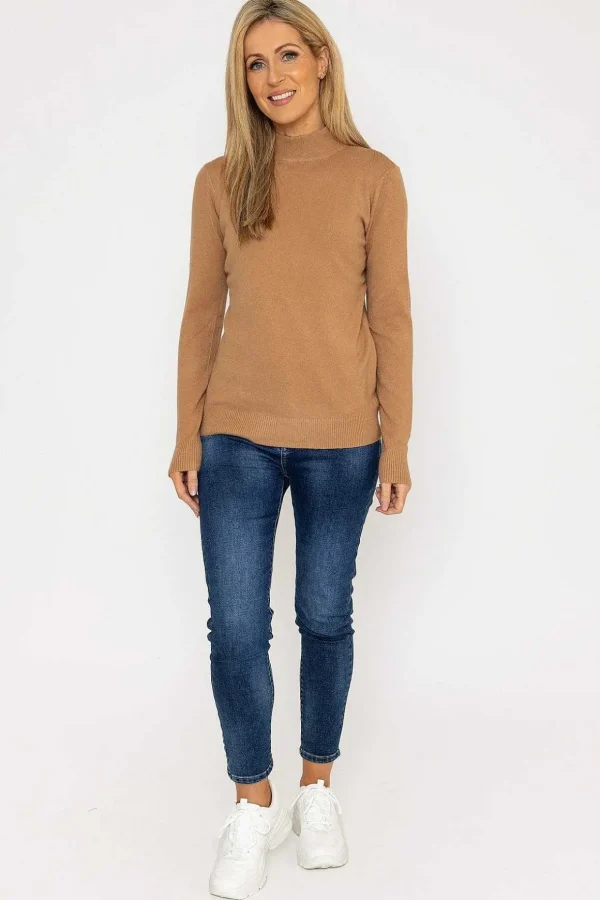 Turtleneck Knit In Camel