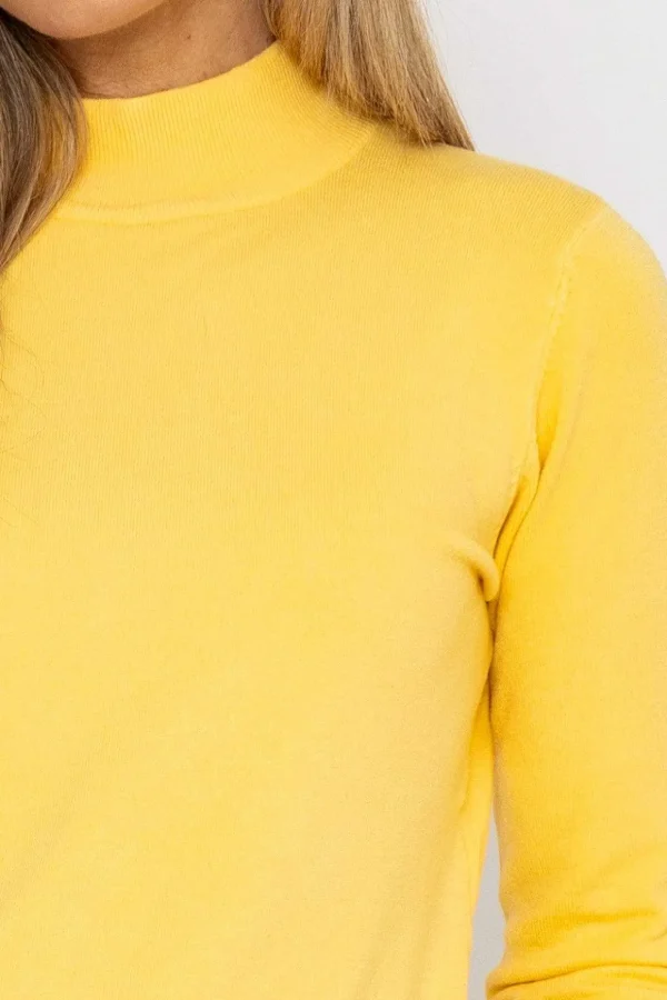 Turtleneck Knit In Yellow