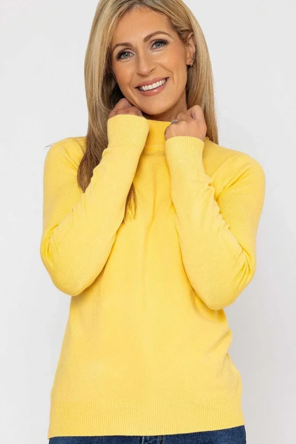 Turtleneck Knit In Yellow