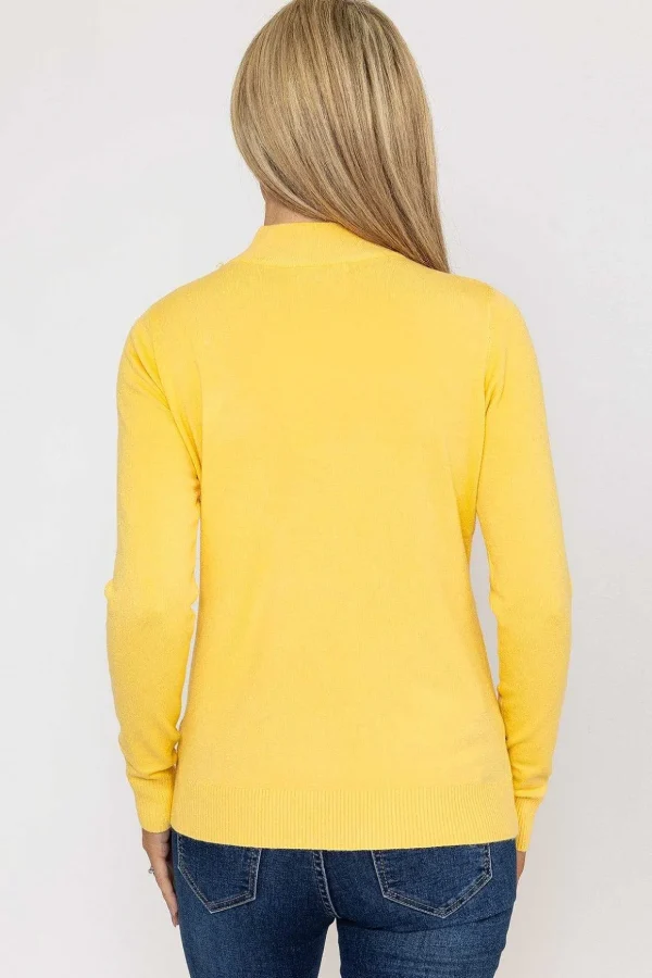 Turtleneck Knit In Yellow