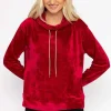 Velvet Hoody In Burgundy