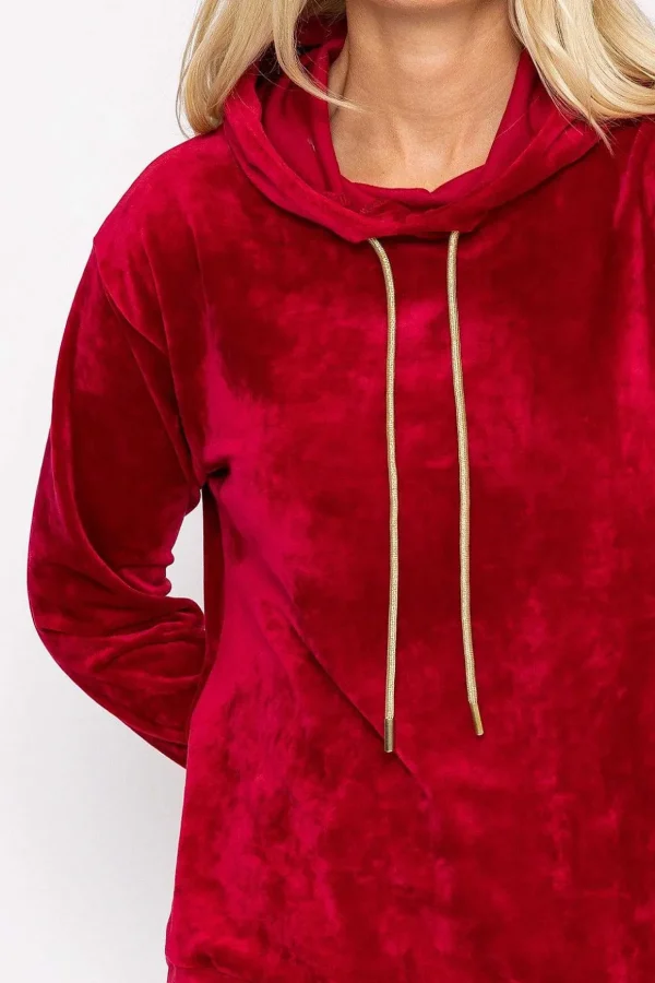 Velvet Hoody In Burgundy